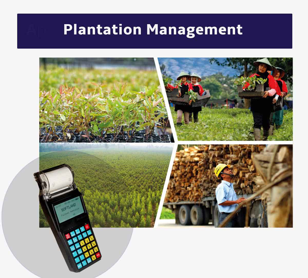 plantation-management